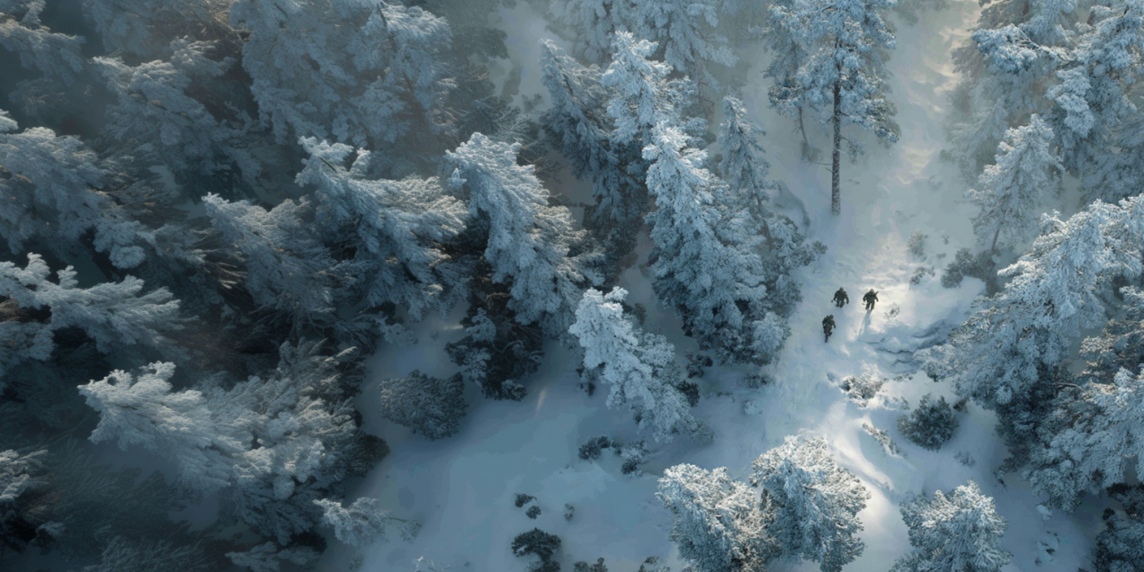 Wintery scene
